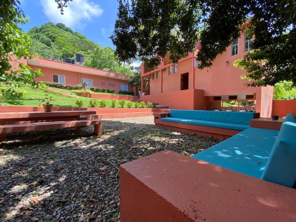 Color Hostel Паломіно Екстер'єр фото