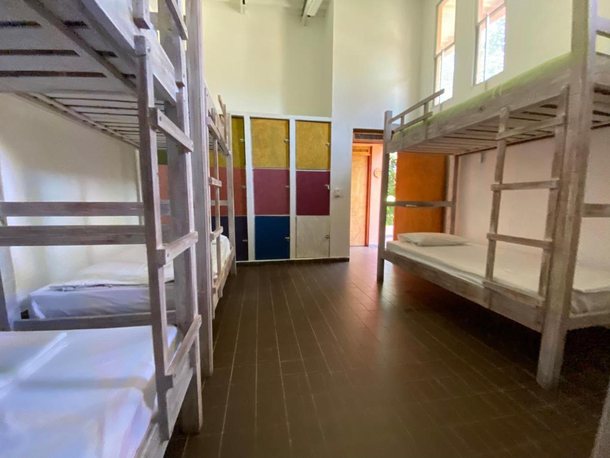 Color Hostel Паломіно Екстер'єр фото